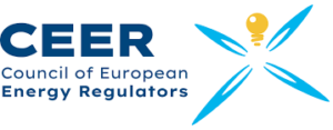 Dr. Giga Adamia appointed as Course Director for CEER Training on EU Energy Regulation, leading key training modules on EU energy law and market regulation.